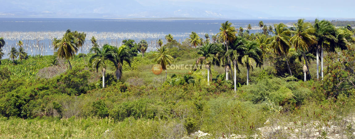 Villa Jaragua Bahoruco Republica Dominicana